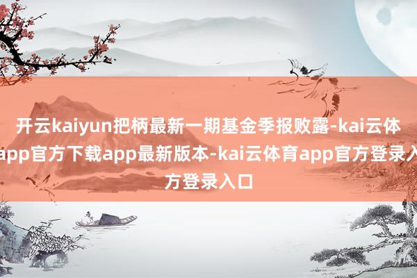 开云kaiyun把柄最新一期基金季报败露-kai云体育app官方下载app最新版本-kai云体育app官方登录入口