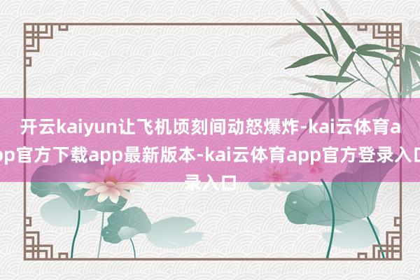 开云kaiyun让飞机顷刻间动怒爆炸-kai云体育app官方下载app最新版本-kai云体育app官方登录入口