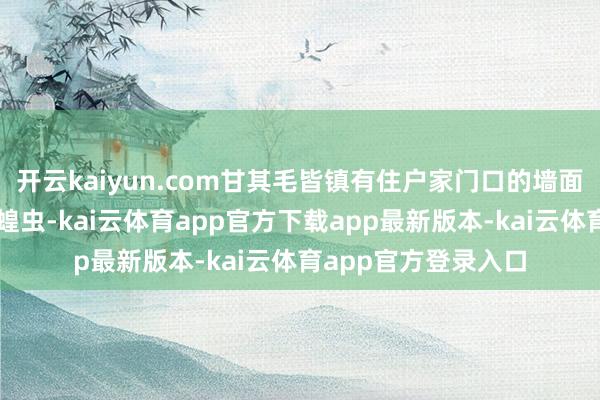 开云kaiyun.com甘其毛皆镇有住户家门口的墙面和大地上趴着不少蝗虫-kai云体育app官方下载app最新版本-kai云体育app官方登录入口